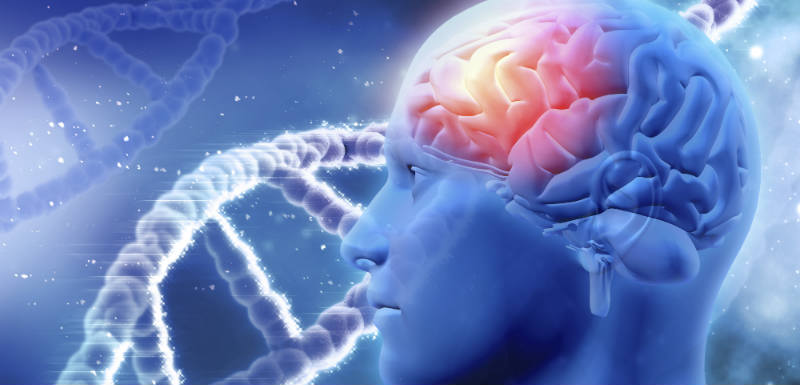 Schizophrénie : une nouvelle cause identifiée Schizophrénie : une nouvelle cause identifiée