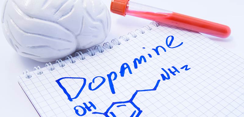 dopamine et antipsychotique
